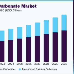 Calcium Carbonate Market Insights: Strategic Growth Initiatives