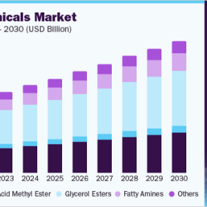 Oleochemicals Industry Explores Novel Applications in Rubber and Polymer Processing