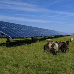 Why an Agri Solar Panel Is Becoming Essential for Modern Farming