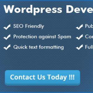 Find Out Why WordPress is Suitable for a Business Website