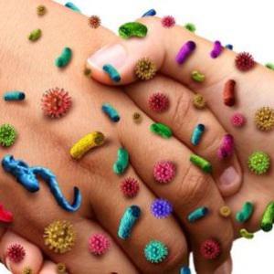 Infection Surveillance Solutions Market 2022: Industry Trends, Growth, Analysis and Forecast 2027