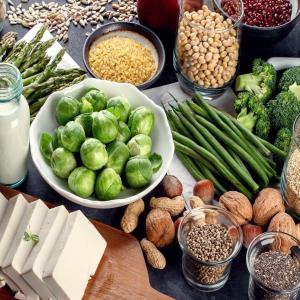 Protein Ingredients Market Trends 2023 | Industry Size, Trends and Forecast 2028