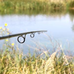 Common Sucker Rod Market 2022: Latest Report with Booming Growth Strategies