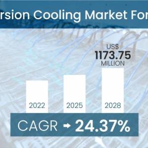 Immersion Cooling Market Set for Rapid Growth During 2022-2028