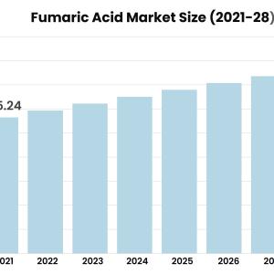 Fumaric Acid Market Size, Share, Leading Players, and Analysis up to 2028