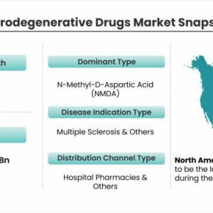 Neurodegenerative Drugs Market Growth Rate And Industry Analysis 2022-2028