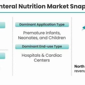 Parenteral Nutrition Market Expected to Experience Attractive Growth through 2028