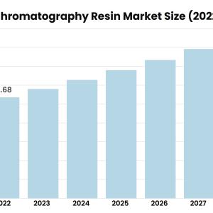 Chromatography Resin Market