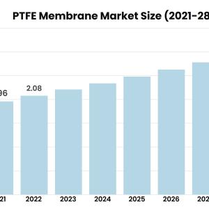 PTFE Membrane Market