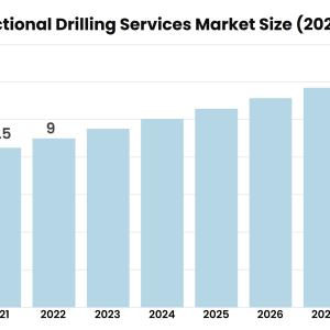 Directional Drilling Services Market