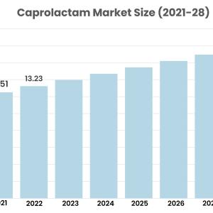 Caprolactam Market