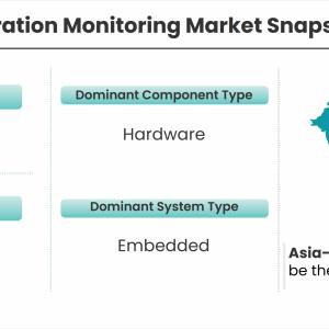 Vibration Monitoring Market