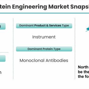 Protein Engineering Market