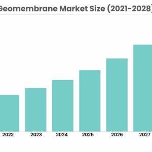 Geomembrane Market: Competitive Analysis and Global Outlook 2022-2028