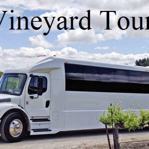 Affordable  Wine Tours  in Long Island NY