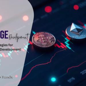 Best Ways to Handle the High Cost of Building a Crypto Exchange