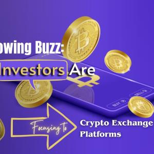 Why Are Crypto Exchange Platforms Attracting So Much Investor Interest?