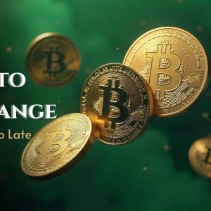 What No One Tells You About Launching a Crypto Exchange Until It’s Too Late