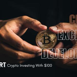 What’s the Best Way to Start Crypto Investing With $100? Insights Into Crypto Exchange Development