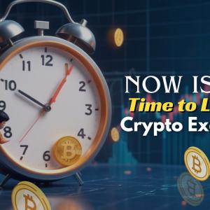 Why Now Is the Time to Launch Your Crypto Exchange