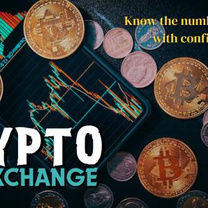How Much Investment is Needed to Start a Crypto Exchange Business?