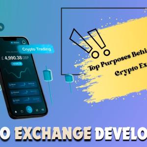 Why Are So Many People Trading on Crypto Exchanges? Exploring the Main Purposes.