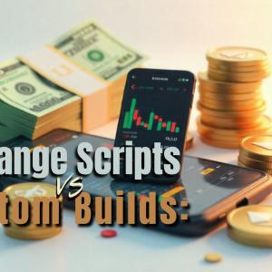 Exchange Scripts or Custom Builds: Which Option Benefits Entrepreneurs Most?