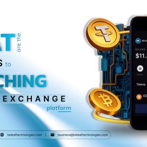 What Are the First Steps to Launching a Crypto Exchange Platform?