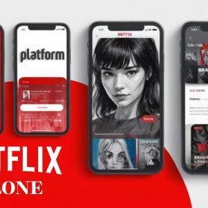 Why Netflix Clones Are the Future of Focused OTT Streaming Services
