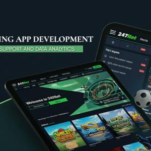 How Sports Betting Platforms Grow with Post-Launch Support and Data Analytics
