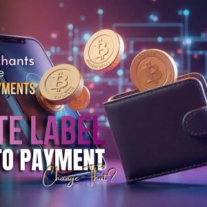 Why Merchants Still Hesitate on Crypto Payments and Can a White Label Crypto Payment Change That? 