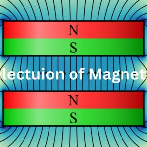 Choosing the Right Magnet for Your Needs: A Comprehensive Guide