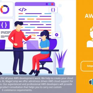 Hire AWS Developers From MageComp