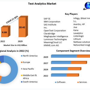 Text Analytics Market Growth and Upcoming Trends Forecast to 2029