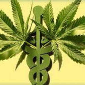 How to find all list of Medical Marijuana Doctors Near Me?