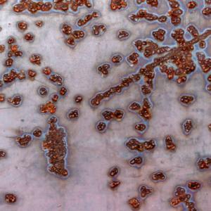 Dry Reforming Catalysts Market Highlights 2022-2032: Best Growth Survey