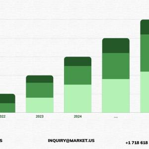 Analog Monitoring Camera Market