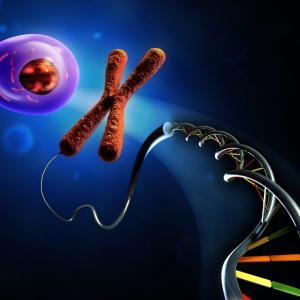 Recombinant DNA Technology Market Analysis Unleashing the Forecast for 2021-2027