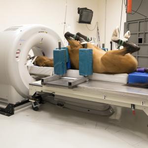 Veterinary Ct Scanner Market Industry Players, Competitor Strategies and Analysis of COVID-19 