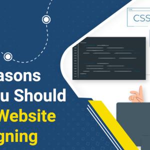 Top Reasons Why You Should Go For Website Redesigning