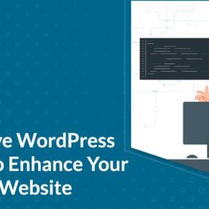 Must-Have WordPress Plugins to Enhance Your Business Website