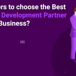  Key factors to choose the Best Software Development Partner for Your Business?