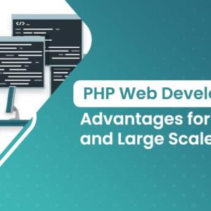 PHP Web Development Benefits for Small and Large Scale Business