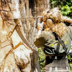 How Tree Removal Helps with Preventing Roof and Gutter Damage