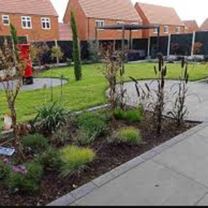 Artificial Grass Guide – Everything You Need to Know