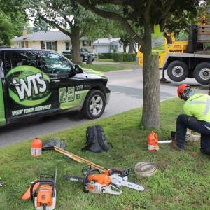 Professional Tree Care for Healthy Landscapes in Muskoka