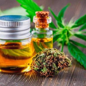 Is CBD Oil Really Beneficial in Treating Ailments? Let's Find Out 