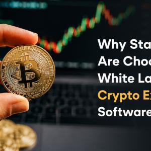 Why Startups Are Choosing White Label Crypto Exchange Software