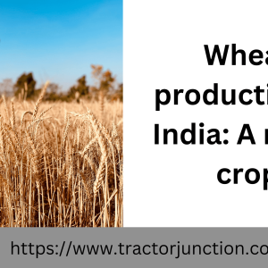 Wheat production in India: A major crop
