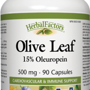 The benefits of opting for olive oil and leaf extracts for good health